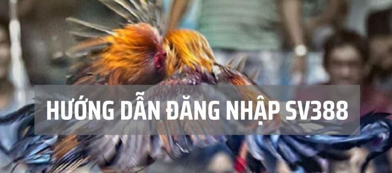 Hướng dẫn Gk88 - Đọc hướng dẫn theo tình huống tài khoản